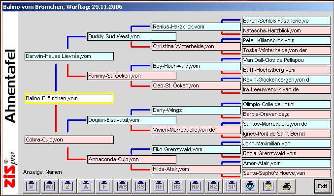 Ahnentafel Balino vom Brmchen