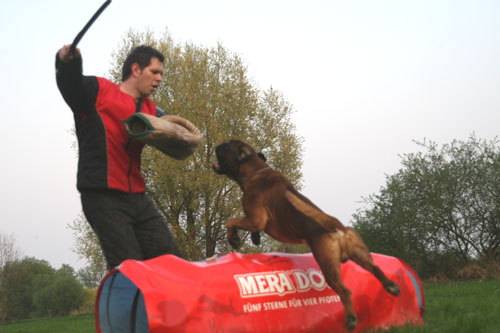 balino 04.11-3 klein