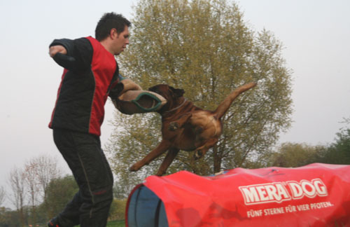 balino 04.11-4 klein