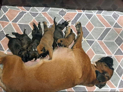 bei Lisbeth IMG_8173 klein