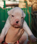 biancaeve kl biancaeve kl