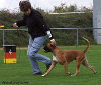 dasper`s Tochter aurora 3 klein dasper`s Tochter aurora 3 klein