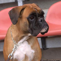 dasper`s tochter aurora klein dasper`s tochter aurora klein