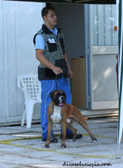 dasper selizione 2 klein1 dasper selizione 2 klein1