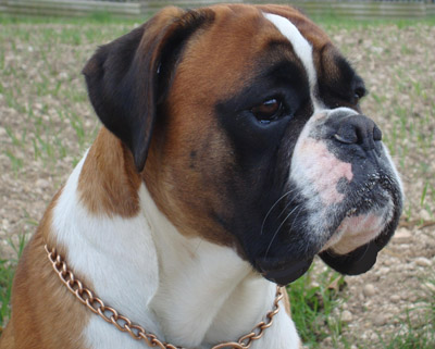 derrick kopf klein derrick kopf klein