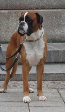 derrik stand klein derrik stand klein