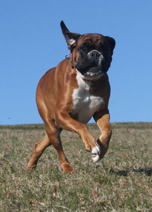 donella 3-2012-2 kk donella 3-2012-2 kk