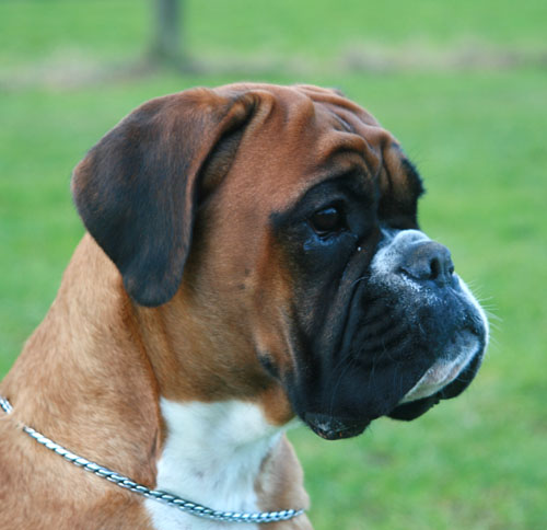 donella kopf 01.2011 1 klein