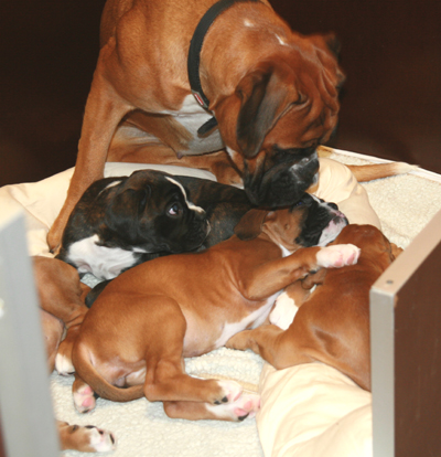 donella_und_e_s_1_klein