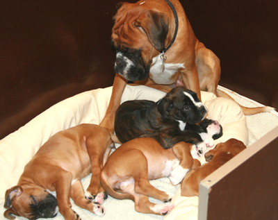 donella_und_e_s_2_klein1