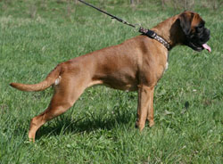 dunja stand kk dunja stand kk