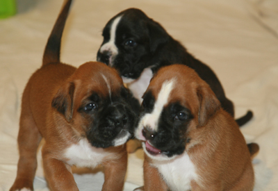 e_s_4._woche_1_klein