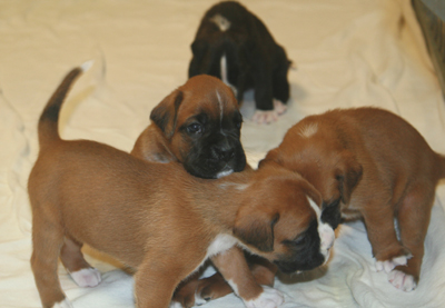 e_s_4._woche_2_klein