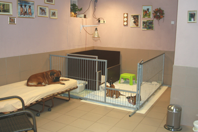 e_s_babyauslauf_klein