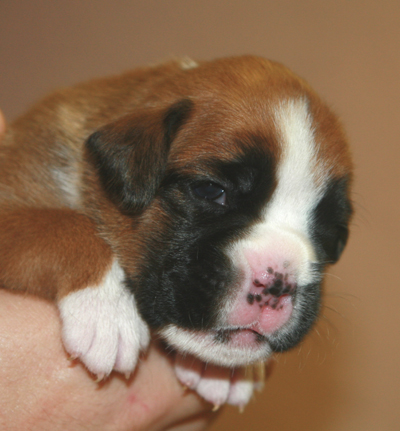 eileen_16_tage_3_klein