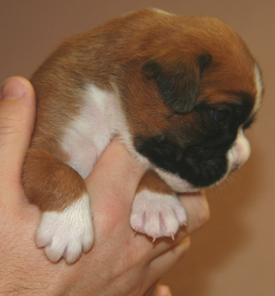 eileen_16_tage_5_klein