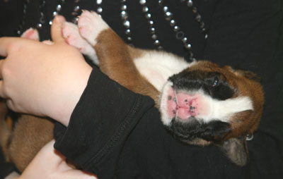 eileen_auf_arm_klein