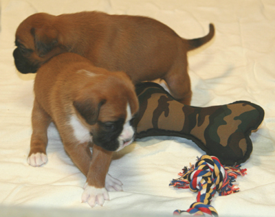 eileen_mit_knoten_2_klein