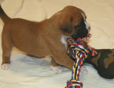 eileen_mit_knoten_3_klein