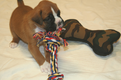 eileen_mit_konten_1_klein