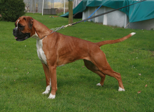 eileen stand april 2012-2 klein eileen stand april 2012-2 klein