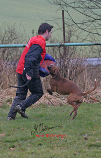 ella-extasy ztp 3 kl lo Kopie kl