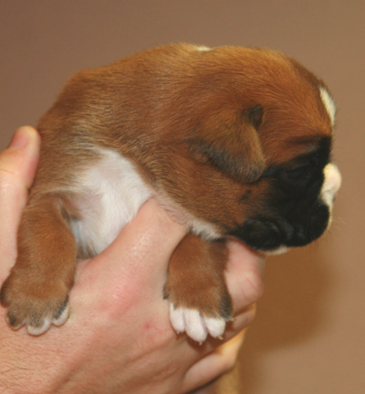 ella_16_tage_2_klein