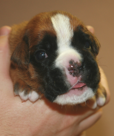 ella_16_tage_3_klein