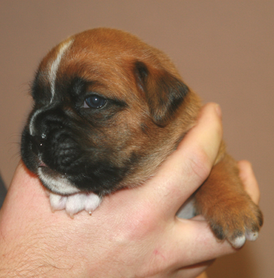 elsa_16_tage_1_klein