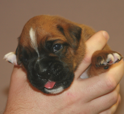 elsa_16_tage_2_klein