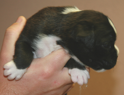 emmely_16_tage_1_klein