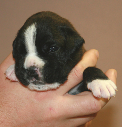 emmely_16_tage_2_klein