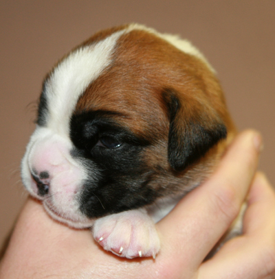 ennox_16_tage_3_klein