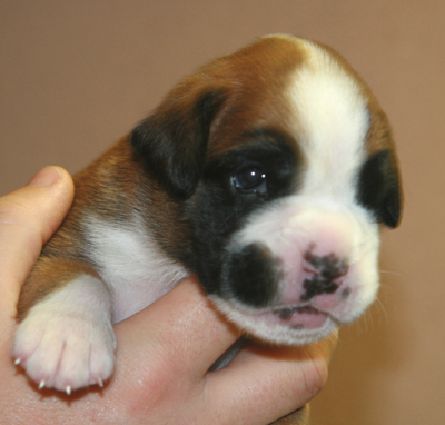 ennox_16_tage_4_klein