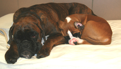 ennox_und_kimi_klein