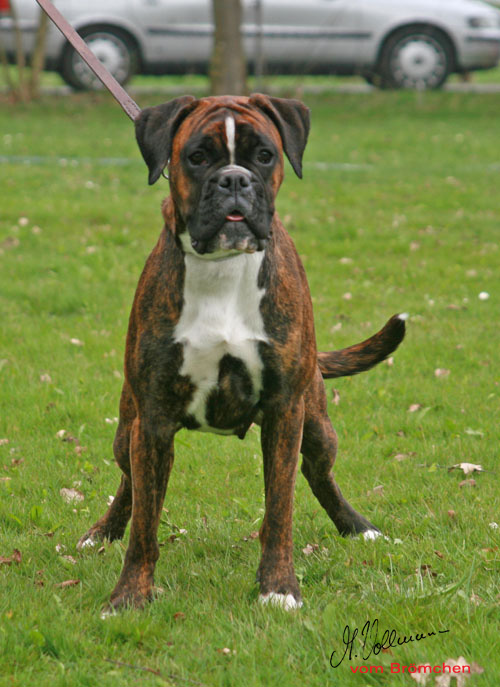 femi 2013 1 kl Kopie