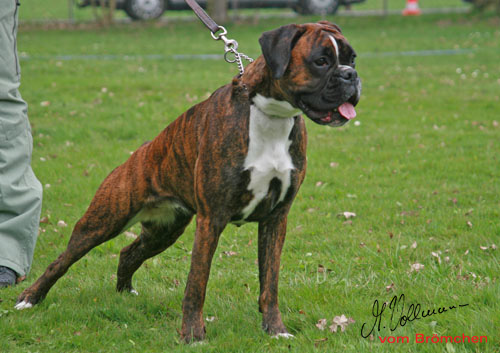 femi 2013 2 kl Kopie