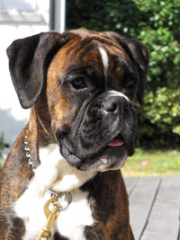 florenzia september 2013 klkl