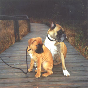 Gerti vom Rammseck mit Dora