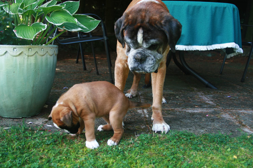 greta darwin 4 wochen 034 kl