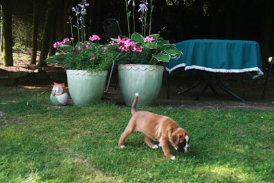 greta garten 4 wochen 036 kl