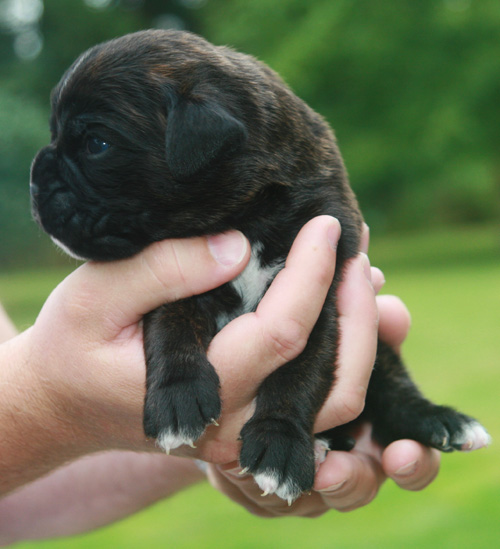 haribo 12 tage 112 kl