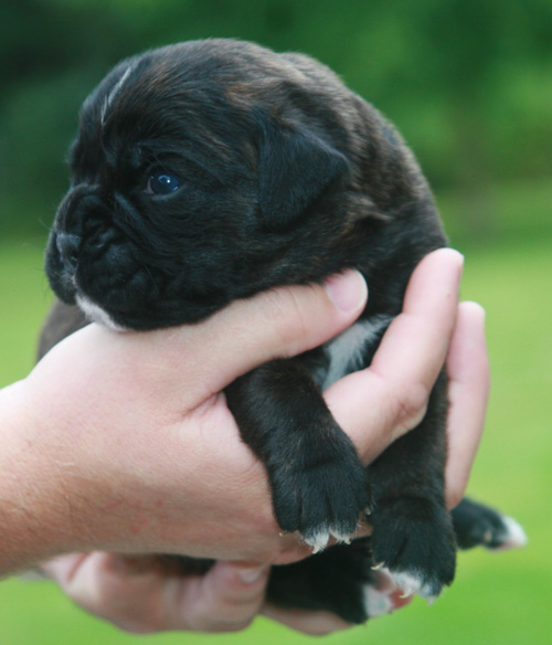 haribo 12 tage 113 kl