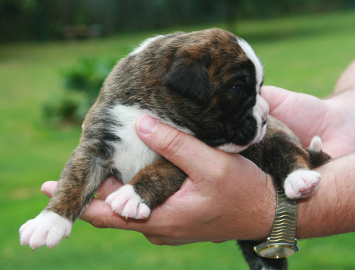 henriette 12 tage 097 kl