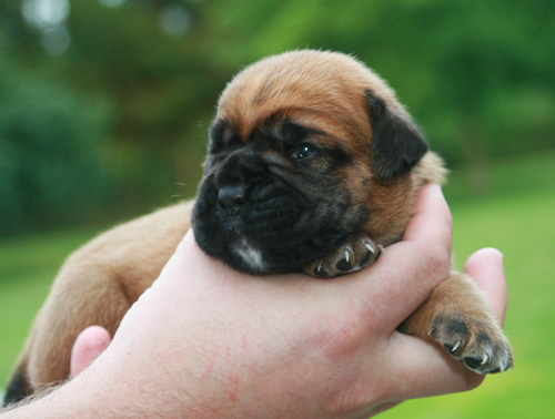 hermine 12 tage 136 kl