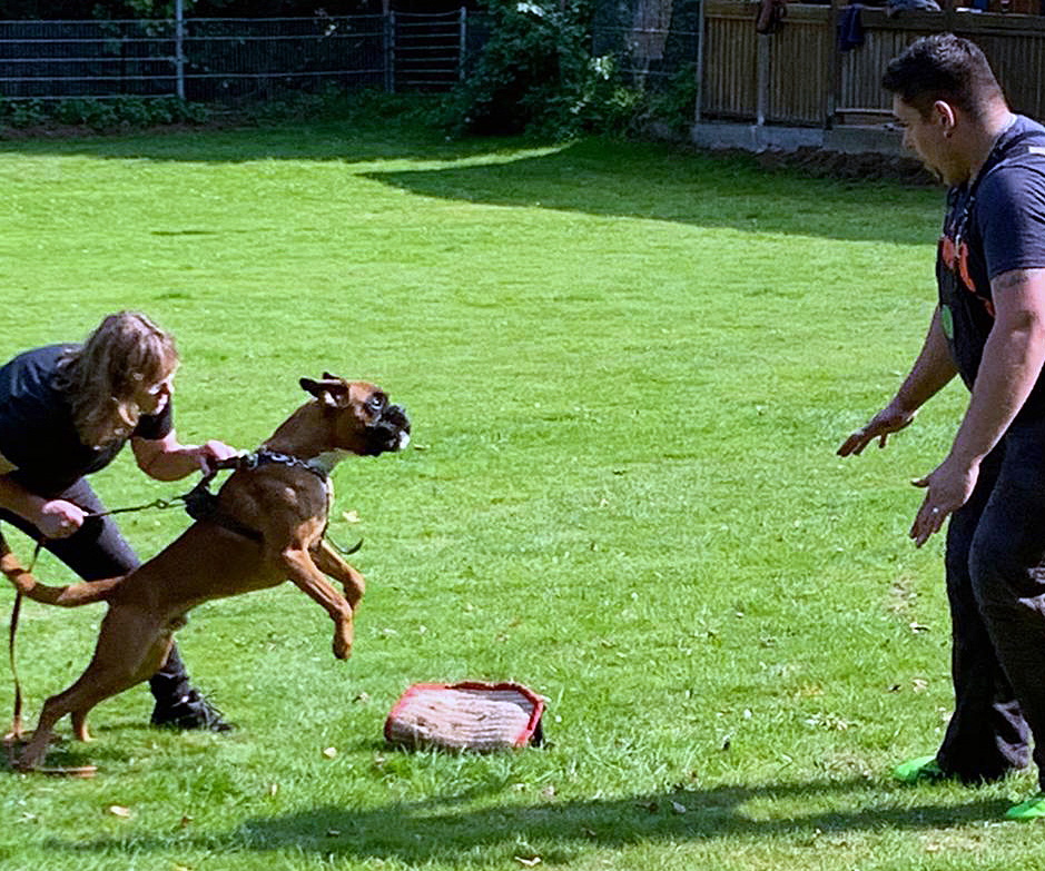 hp x Naruto Steinheim 4 bea