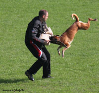 ice atibox 1 klein ice atibox 1 klein