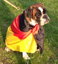 ice atibox 3 klein ice atibox 3 klein