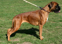 isys stand kk isys stand kk