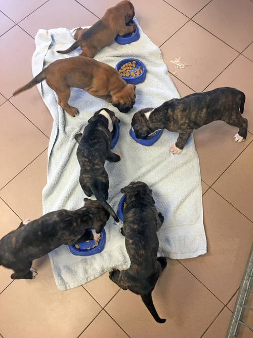 k x 6 an den npfen IMG_8567